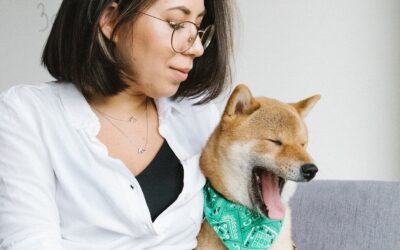 Teach Your Clients to Speak Dog: 10 Ways Dogs Say Nope