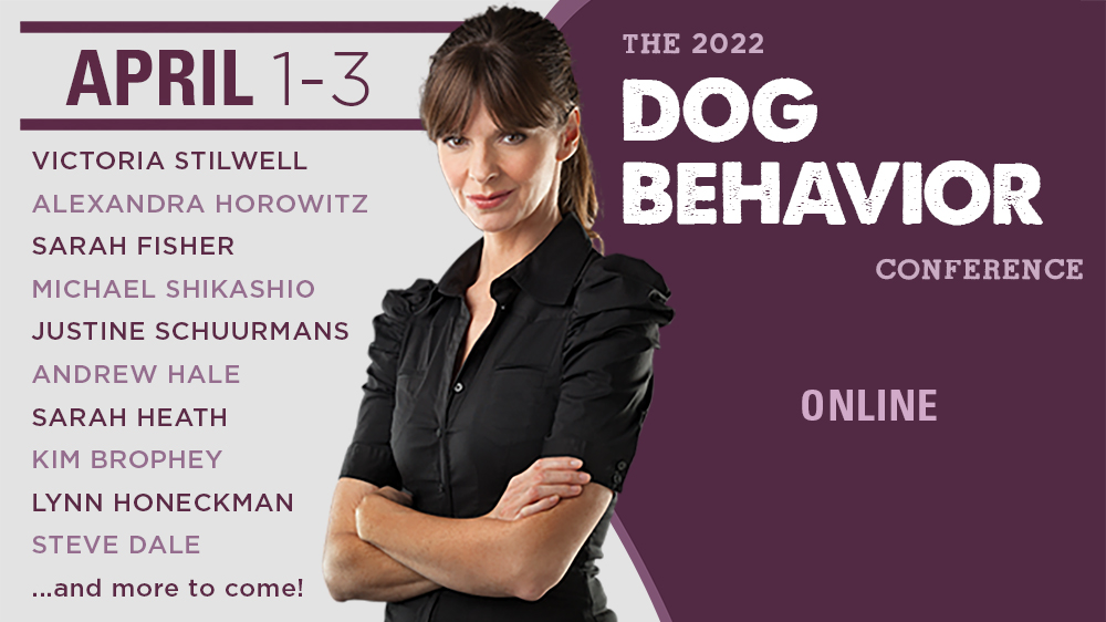 1000x562_DBC2022-names-prelaunch