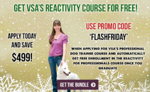 Get VSA's Reactivity for Pros course free