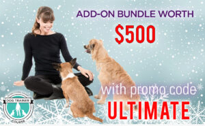 Ultimate VSA Add-On Bundle!