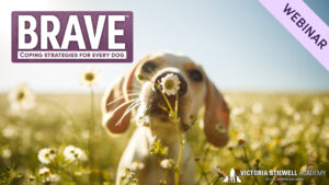 BRAVE Webinar thumbnail