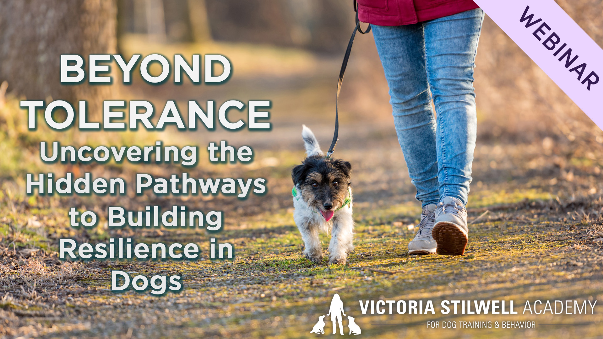 1920x1080 Beyond Tolerance (resilience) 2608 Beyond Tolerance webinar thumbnail
