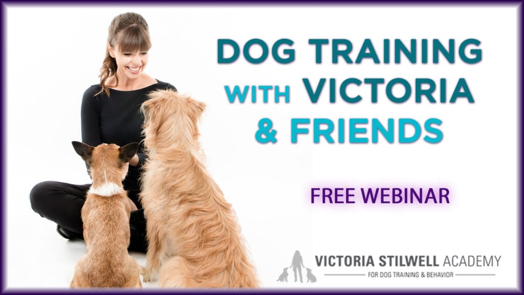 Dog Training with Victoria & Friends (free webinar)