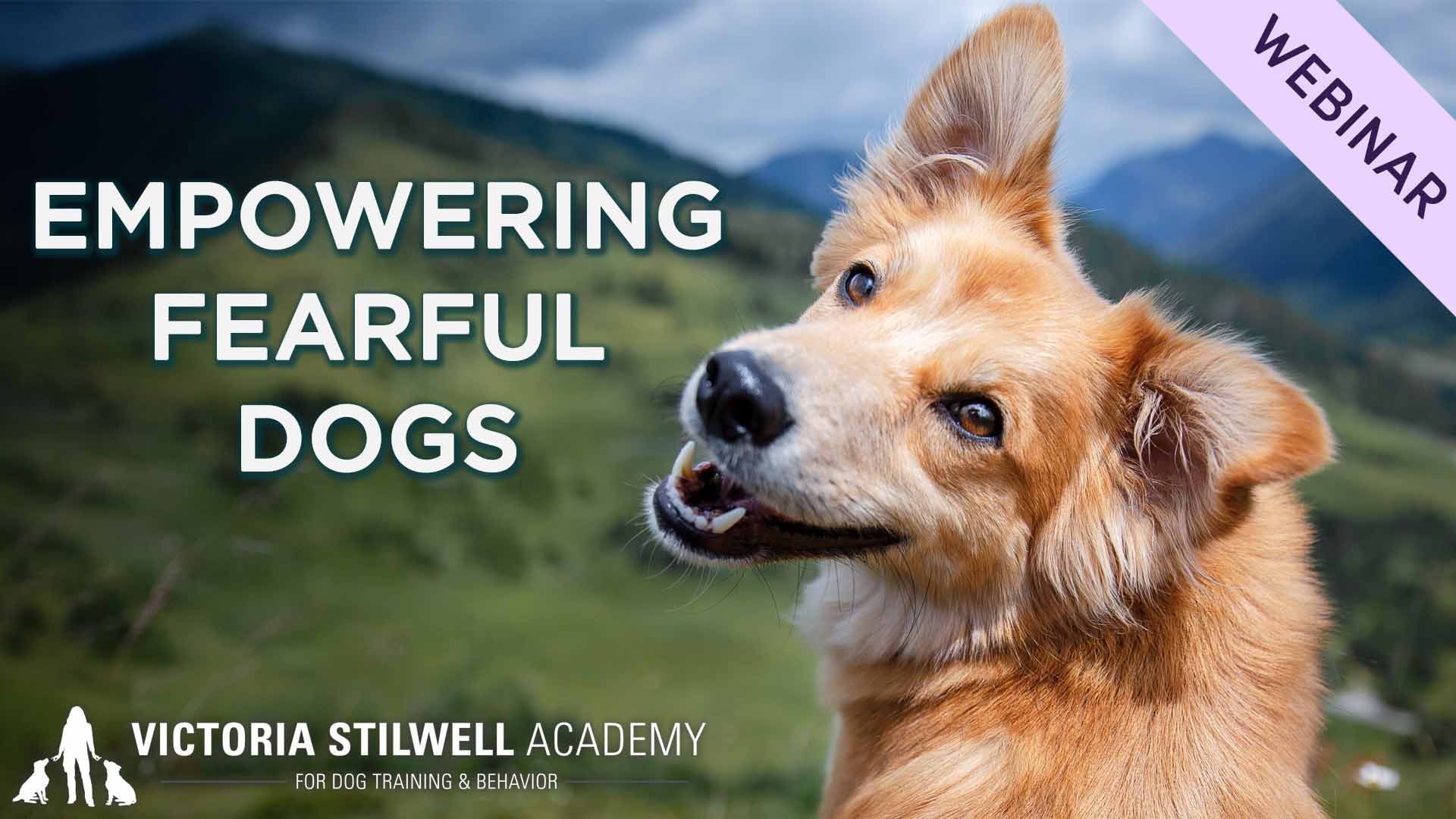 1920x1080-WEB_2610-empowering-fearful-dogs Empowering Fearful Dogs Webinar