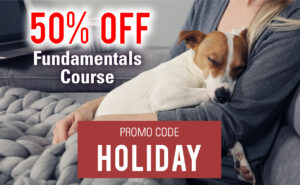 50% Off the Fundamentals Course!