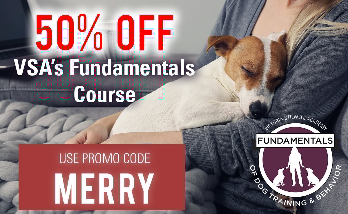 Get 50% off VSA's Fundamentals of Dog Training & Behavior Course with promo code MERRY