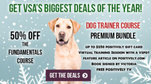 Get VSA's biggest deals of the year!