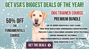Massive VSA Holiday Deals!