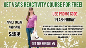 Get VSA's Reactivity for Pros course for free