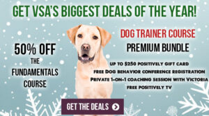 Get VSA's most valuable deals of the year!