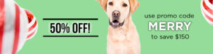 Get 50% off VSA's foundational Fundamentals of Dog Training & Behavior Course with promo code MERRY