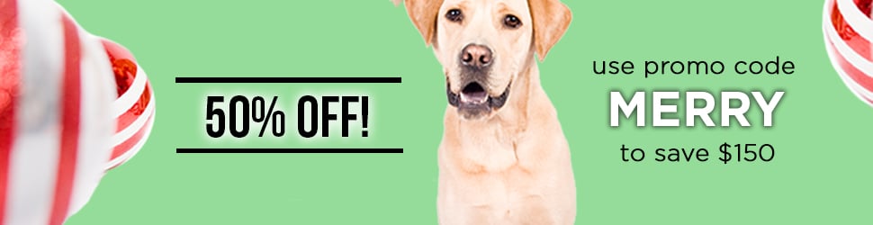 Get 50% off VSA's foundational Fundamentals of Dog Training & Behavior Course with promo code MERRY