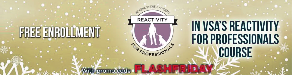Get VSA's Reactivity for Pros course for free when enrolling in the professional Dog Trainer Course
