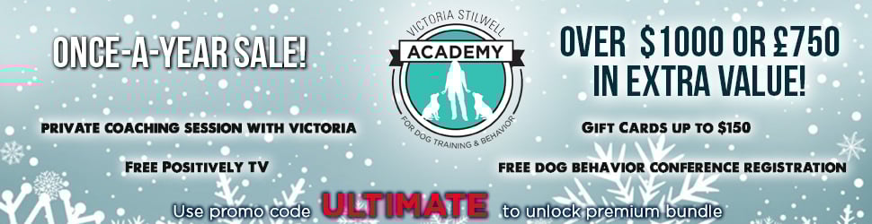 Get $1000 in extra value when applying for the professional Dog Trainer Course