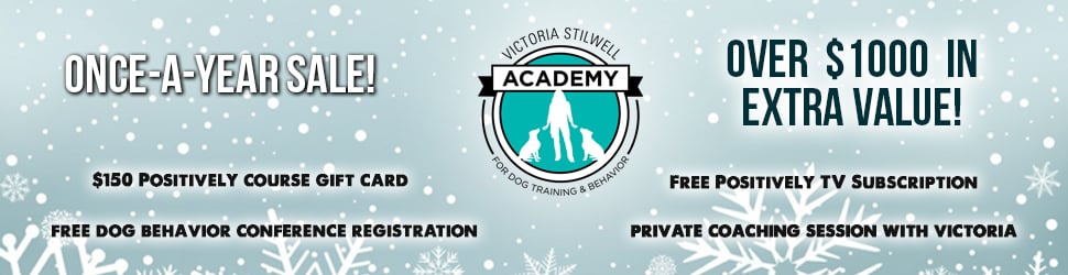 Get a special holiday add-on bundle worth over $1000 when enrolling in VSA's professional Dog Trainer Course