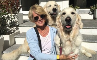 Anne Bartlett-Bragg: No More Tears