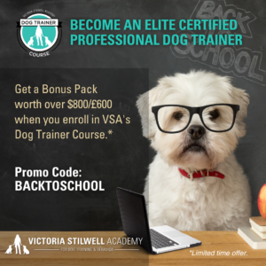 Get over $800 in extra value with promo code BACKTOSCHOOL when enrolling in VSA's professional Dog Trainer Course