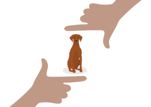 Evolutionary Leap Forward (capturing pos img) An evolutionary leap forward in dog training