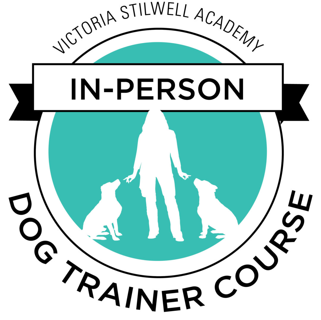 DOG TRAINING COURSES a certified dog trainer with VSA