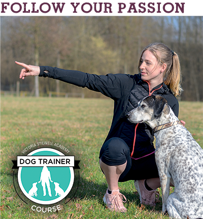 Follow Your Passion - VSA's Dog Trainer Course