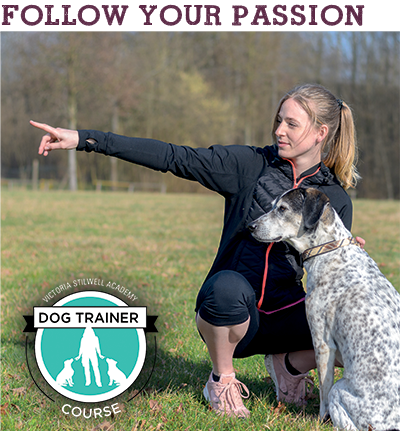 Follow Your Passion - VSA's Dog Trainer Course