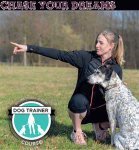 Enroll in VSA's Dog Trainer Course