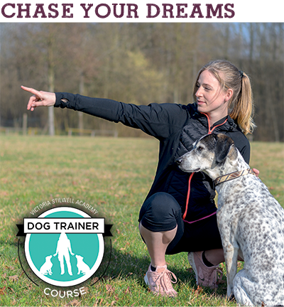 Dog Trainer Course Tuition Increases Nov 1