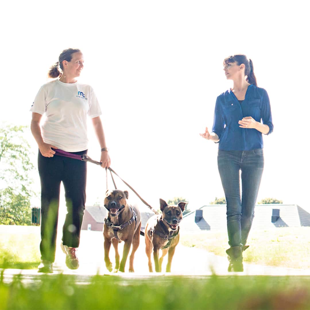 Victoria teaching a dog trainer student and two dogs