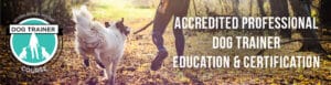 DTC accredited professional dog trainer education & certification