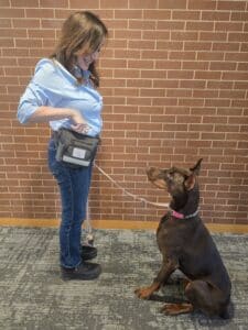 Elisa Segal wearing reinforcer treat pouch with doberman