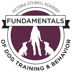 fundamentals of dog training course