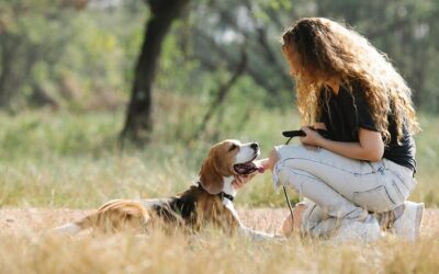 The Human Side of Your Dog Training Plan
