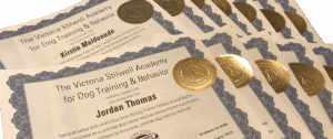 VSA Dog Trainer Course certificates