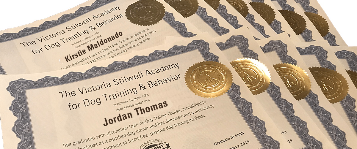 VSA Dog Trainer Course certificates
