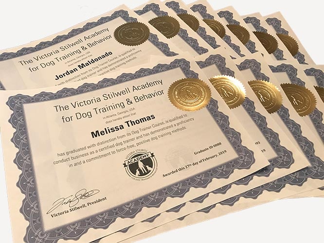 dog trainer certificates