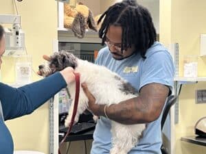 Veterinary nurse holding dog
