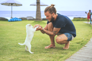 Dog trainer working with a puppy in a park