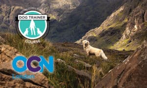 OCN London accreditation - VSA Dog Trainer Course
