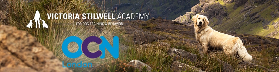 VSA certified by OCN London