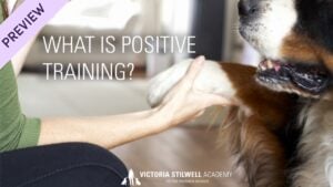 VSA Dog Trainer Course Preview Lesson - What Is Positive Training