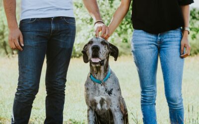 Building Referral Partnerships with Pet Businesses