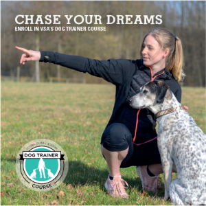 Enroll in VSA's flagship Dog Trainer Course