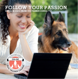 Enroll in VSA's Online Dog Trainer Course