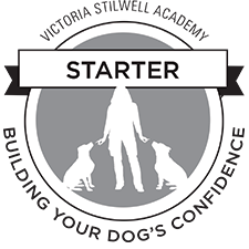 Free Starter Course: Building Your Dog's Confidence