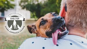 VSA's Shelter Zones Approach Course