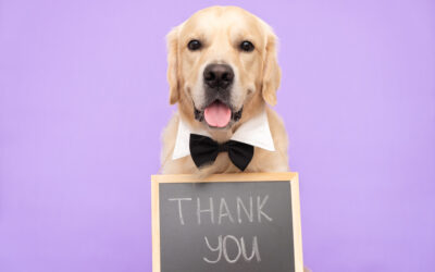 The Art of Gratitude: Why Thanking Your Clients Matters in Dog Training