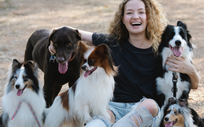 3 Key Elements for Happiness in Your Dog Training Career