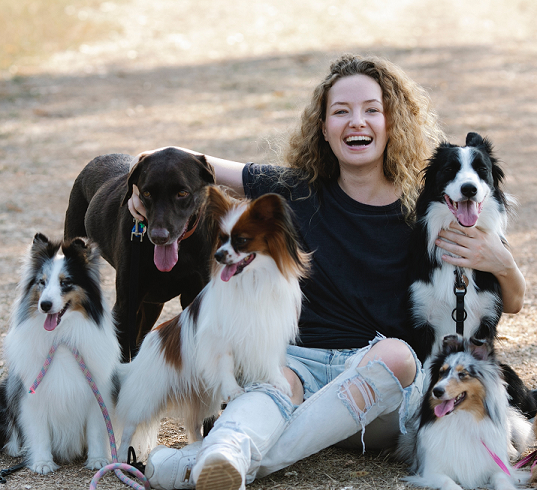 3 Key Elements for Happiness in Your Dog Training Career