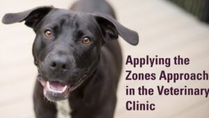 VZA Lesson 2