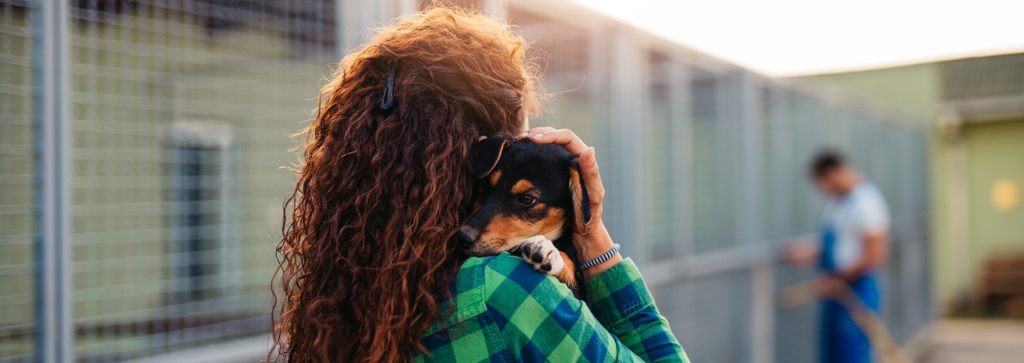 animal-welfare-advocate-scholaship-img-2000x709